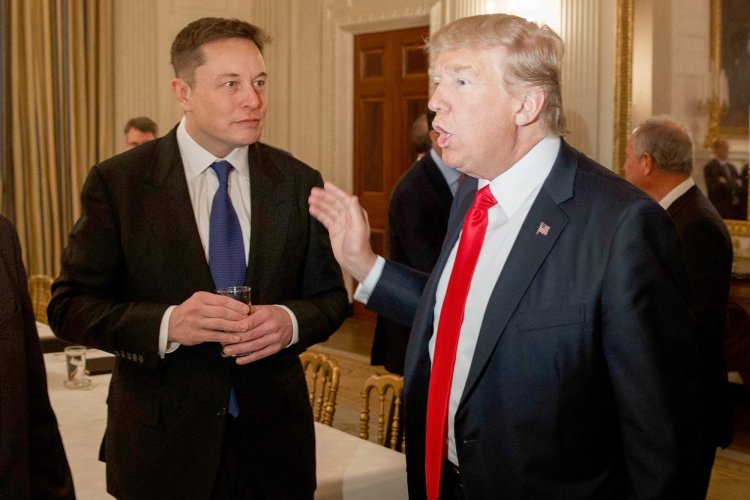 Elon Musk, Trump'ın Twitter yasağını kaldıracağını duyurdu