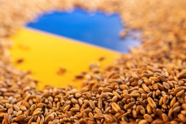 Rusya: Tahıl krizinin çözümü için yaptırımları kaldırın