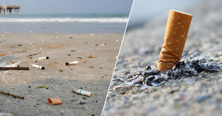 DSÖ: Her yıl 4,5 trilyon sigara izmariti çevreye atılıyor