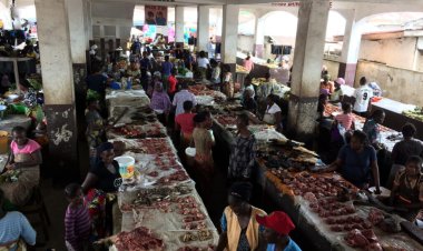 Nijerya'da vahşi hayvan eti satışı yasaklandı