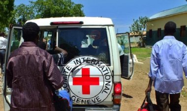 Mali'de 2 Kızılhaç çalışanı öldürüldü