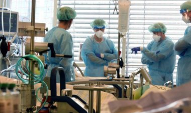 DSÖ: Maymun çiçeği vaka sayısı 780'e çıktı
