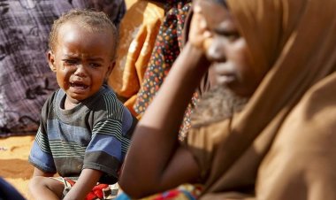 BM'den kritik uyarı: Harekete geçilmezse çocuk ölümlerinde büyük artış olur