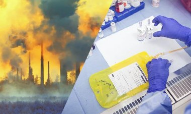 Avrupa'daki kanser vakalarının yüzde 10'undan fazlası kirlilikle ilişkili