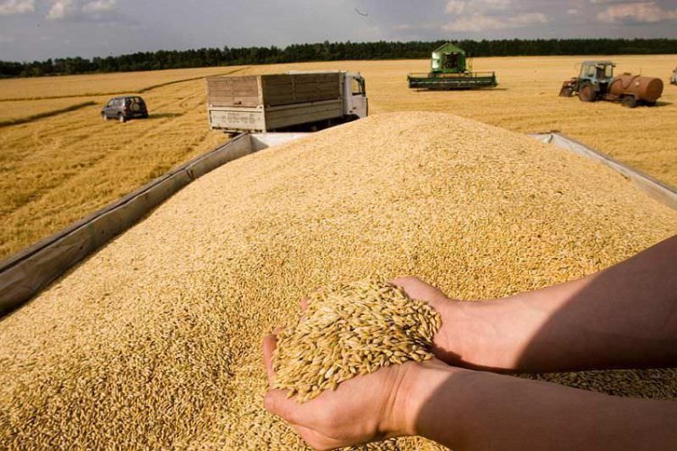 AB: Rusya uluslararası tahıl ticaretindeki kıtlıktan doğrudan sorumludur