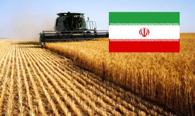 İran: Tahıl koridoruna katkı sağlamaya hazırız