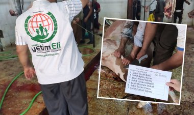 Avrupa Yetim Eli, Şehid Yasin Börü ve arkadaşları anısına Kürdistan’da kurban kesti