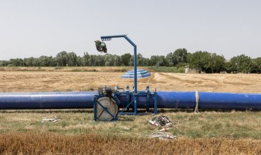 İtalya'da kuraklık, tarım sektörünü zorlamaya devam ediyor