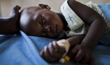 Uganda'da 628 hamile kadın ve çocuk sıtmadan öldü