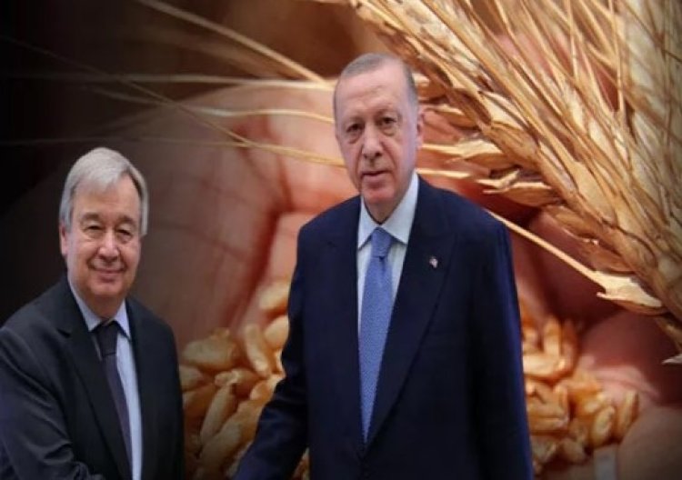 Tahıl sevkiyatı anlaşması Guterres'in katılımıyla İstanbul'da imzalanacak