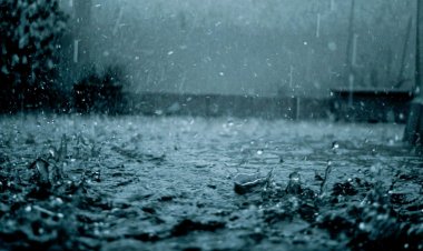 Dünya genelinde yağmur sularında kimyasal maddelere rastlandı