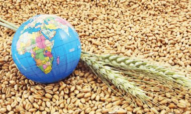 Dünyada kişi başına en çok buğday tüketen ülkeler hangileri?