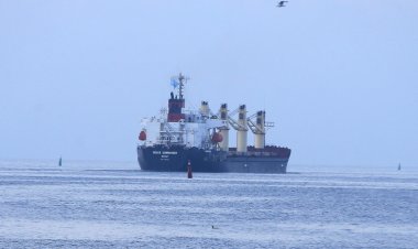 Tahıl taşıyan 5 gemi daha Ukrayna'dan hareket etti