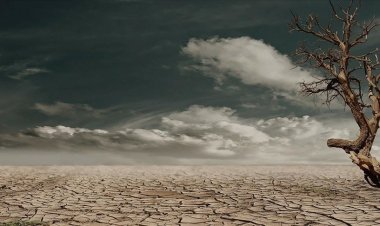 Küresel petrol şirketlerinin iklim senaryoları Paris Anlaşması hedefleriyle uyumsuz bulundu