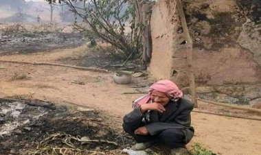 Cezayir'deki orman yangınlarında ölü sayısı 31'e yükseldi