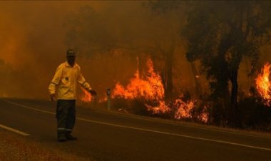 Fas'ın kuzeyinde ki orman yangınları devam ediyor