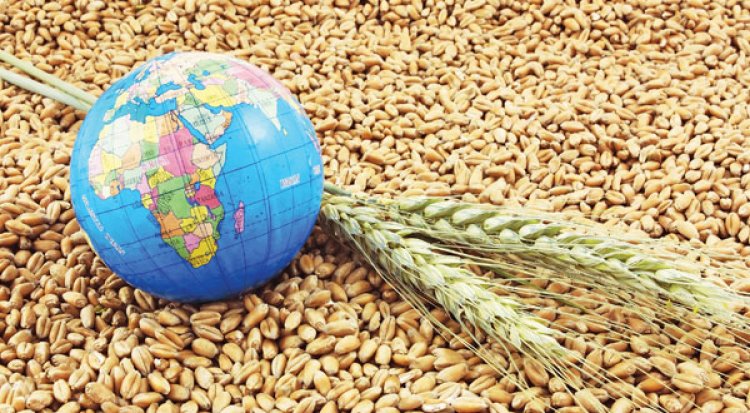 Dünyada kişi başına en çok buğday tüketen ülkeler hangileri?