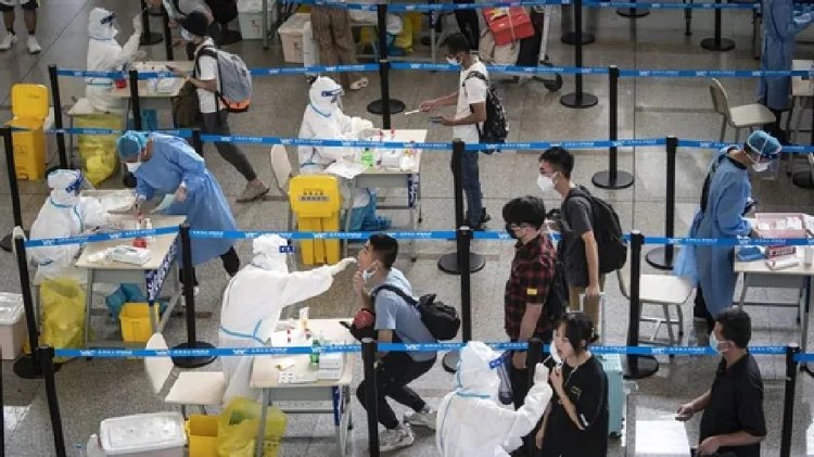 Çin'de yeni alarm: Langya virüsü yayılıyor