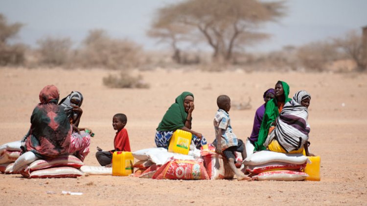 BM: Somali’de bir milyon kişi kuraklık yüzünden evini terk etti