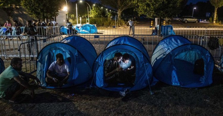 Hollanda'da hükümet mültecilere yer bulmakta zorlanıyor