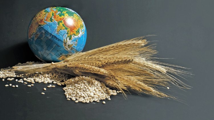 Uluslararası kuruluşlar "küresel gıda ve beslenme krizine karşı acil eylem" çağrısı yaptı
