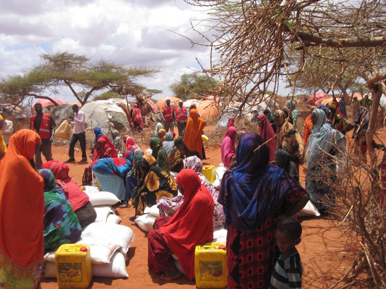 Somali’de insani kriz: Göç ve kıtlık
