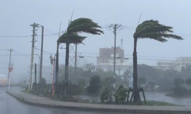 Çin'de Mufia Tayfunu nedeniyle yaklaşık 1,6 milyon kişi tahliye edildi