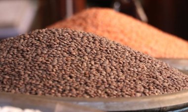 Uluslararası kuruluşlardan "küresel gıda krizinin acilen ele alınması" çağrısı