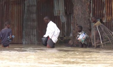 Nijerya'da sellerde 15 kişi öldü, 18 binden fazla kişi yerinden oldu
