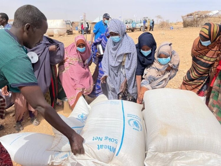 'Somali'de resmi bir kıtlık ilanı bekleniyor'