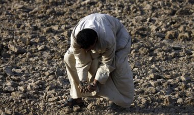 Irak'ta tarıma elverişli araziler iklim değişikliği ve kuraklıktan etkileniyor