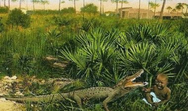 ABD’nin kanlı tarihi: Siyah bebekler timsah avında yem olarak kullanıldı