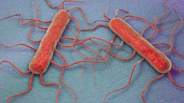 ABD'de et yiyen bakteri alarmı: 65 vakadan 11'i öldü