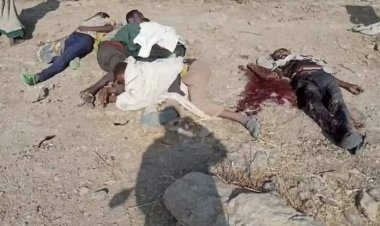 Tigray Halk Kurtuluş Cephesi: Etiyopya ateşkesin ardından sivilleri vurdu