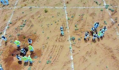 UCM yetkilileri Libya'nın Terhune kentindeki toplu mezarları ziyaret etti