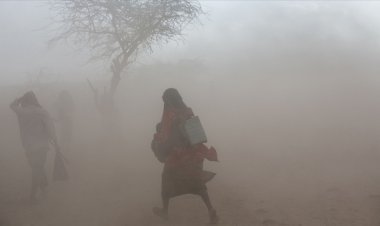 ABD ve Mısır'dan Afrika'nın iklim değişikliğiyle mücadelesine 150 milyon dolarlık destek