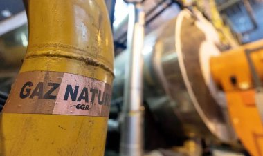 Çevreciler tepkili: "Avrupa, Afrika'yı yakıt istasyonuna çevirmek istiyor"