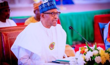 Nijerya Devlet Başkanı: Rusya-Ukrayna savaşında kullanılan silahlar Afrika'ya sızıyor