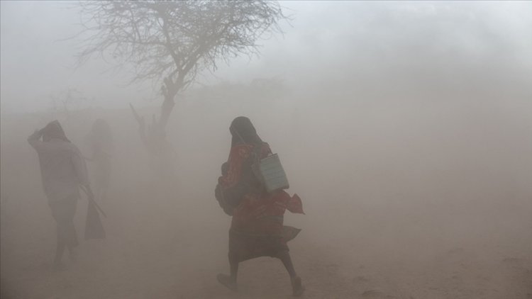 ABD ve Mısır'dan Afrika'nın iklim değişikliğiyle mücadelesine 150 milyon dolarlık destek