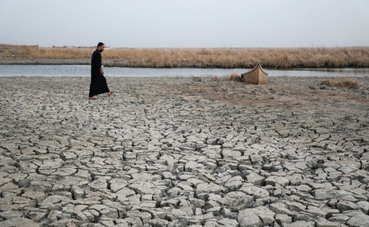 Son 50 yılda dünyadaki sulak alanların yüzde 35'i yok oldu