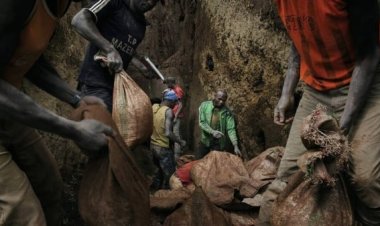 Otuz yıl içinde milyonlarca insan "modern köle" durumuna düşebilir