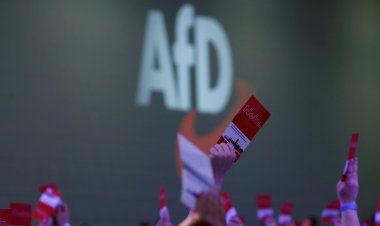 Almanya'da yükselişi önlenemeyen İslam ve göç karşıtı AfD'nin oyları yükseliyor