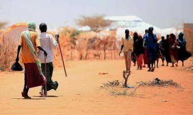 Etiyopya da kuraklık: Şiddetli gıda krizi kapıda