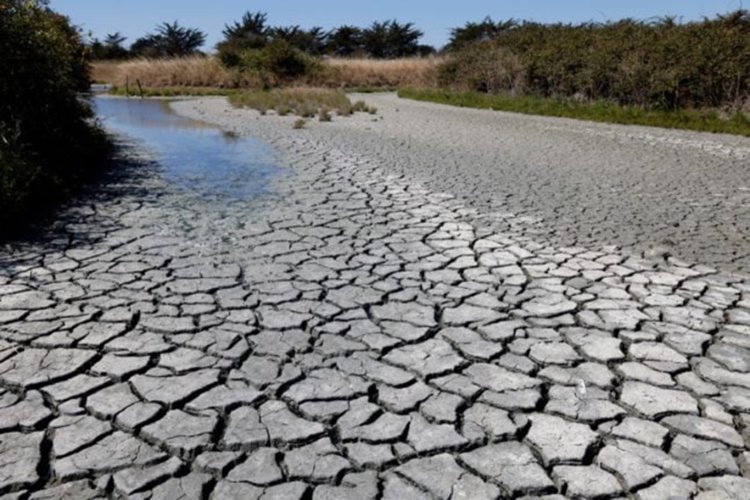 Tarihin en yağışsız dönemini yaşayan Fransa'da 32 gündür yağmur yağmıyor