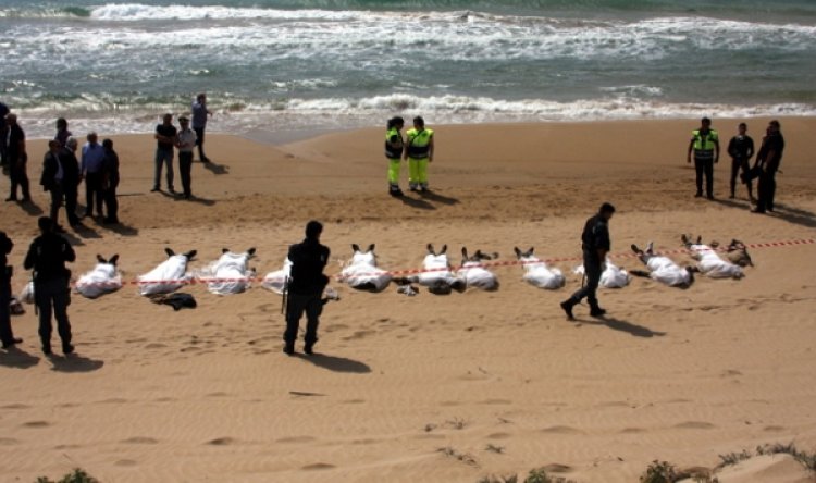 İspanya kıyılarında geçen yıl düzensiz göçte 2 bin 390 kişi öldü