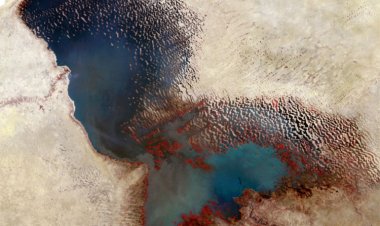 Afrika'da kuraklık alarmı: Milyonlarca kişinin su ihtiyacını karşılayan Çad Gölü kuruyor