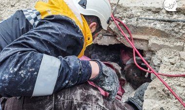 Cumhurbaşkanı Yardımcısı Oktay: Toplamda 1541 vatandaşımız hayatını kaybetti