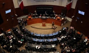 Meksika'da Senato tartışmalı seçim reformunu onayladı