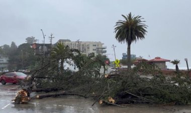 ABD'de şiddetli rüzgâr ve kasırgalar nedeniyle 10 kişi öldü