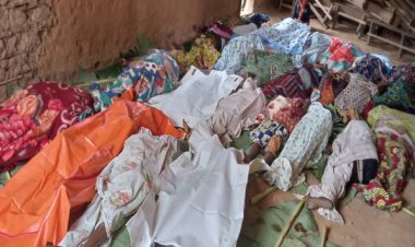 Kongo'da köye silahlı saldırı: 36 ölü